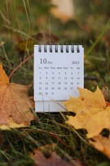 table calendar concept and copy space. October 2023 monthly calendar by maple leaves nature background
