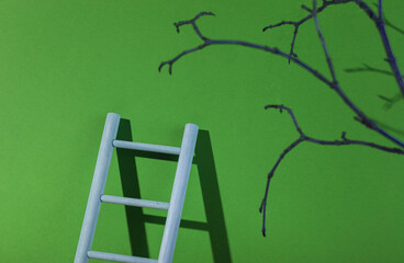 Wooden ladder with witch dry branch on green background. Minimal halloween layout.