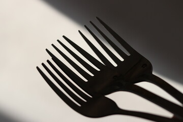 fork and knife