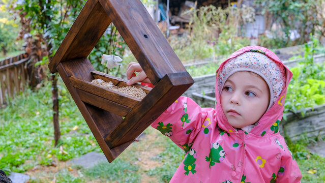 A little girl pours millet into a bird feeder. A child feeds birds in the autumn garden.