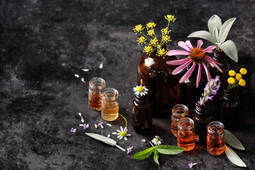 Variety of aroma essential oils in glass bottles with aromatic flowers: lavender, mint, sage, chamomile on texture black background, copy space, natural cosmetic, skin treatment, aromatherapy concept