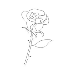 Rose one line. Vector drawing.
