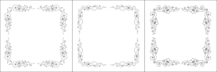 Set of three vector frames with nasturtium flowers. Elegant black and white monochrome ornamental corners. Vector frame for all sizes and formats. Isolated vector illustration.