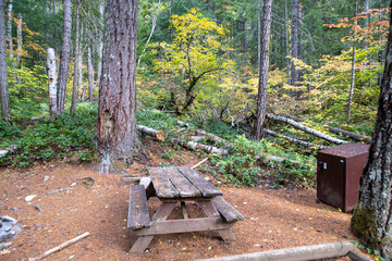 wooden bench in the park