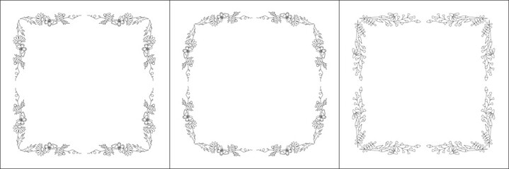 Black and white vegetal ornamental frame with field flowers and butterflies, decorative border, corners for greeting cards, banners, business cards, invitations, menus. Isolated vector illustration.