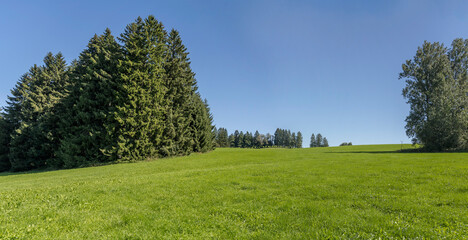  green meadows and trees near shore at Rottachsee Alpine lake, Oy-Mittelberg,  Germany