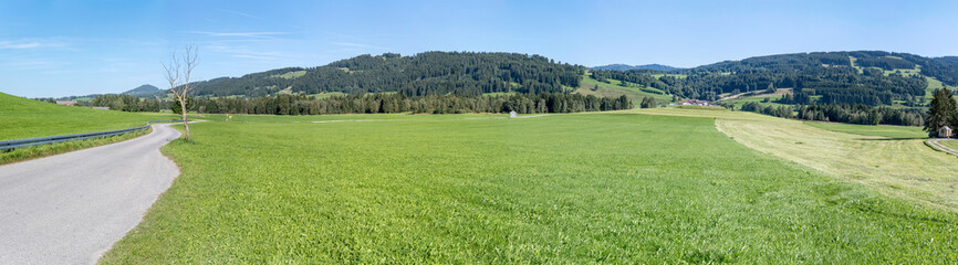 winding road in green hilly countryside, near Rettenberg,  Germany