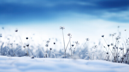 Bokeh Style: Snowy Field and Delicate Flowers