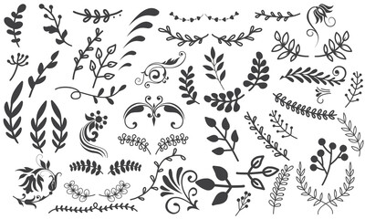 Set of elegant silhouettes of flowers, branches and leaves. Thin hand drawn vector botanical elements
