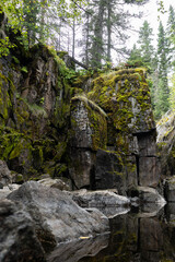 Mossy cliff in the wilderness