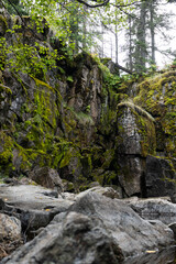 Mossy cliff in the wilderness