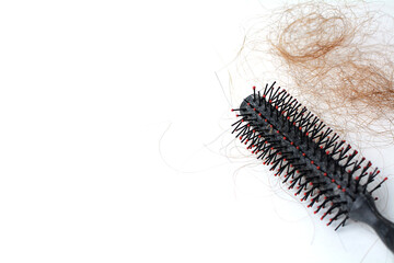 Hair loss in comb, hair fall everyday serious problem, on white background.