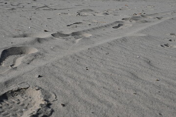animal tracks on the surface of the sand, footprints in the sand 