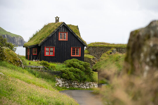 Wooden house in green nature on gloomy day - Powered by Adobe