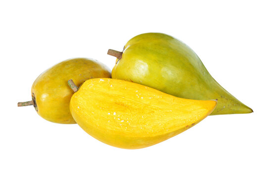 Egg fruit, Canistel, Yellow Sapote (Pouteria campechiana (Kunth) Baehni) transparent png