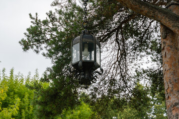 Kostroma, Russia, July 8, 2023. Vintage lantern in the park on a pine tree.