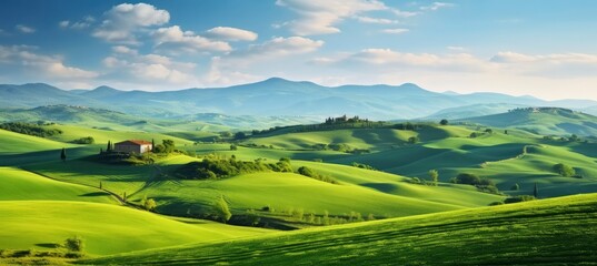 Obraz premium Green hills .