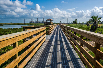 Naklejka premium Leonabelle Turnbull Birding Center in Port Aransas, Texas, Gulf of Mexico, nature reserved, swamp, waterfowl, migration, major flyway, bird watching, outdoor, island, travel, tourism, tourist, nature