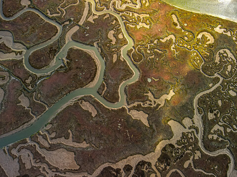 Serpentine waterways through sunlit marshland