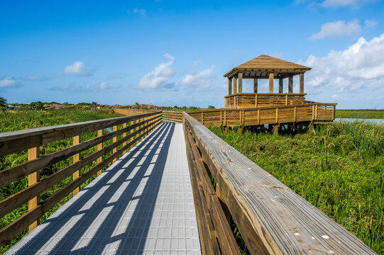 Leonabelle Turnbull Birding Center in Port Aransas, Texas, Gulf of Mexico, nature reserved, swamp, waterfowl, migration, major flyway, bird watching, outdoor, island, travel, tourism, tourist, nature