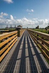 Naklejka premium Leonabelle Turnbull Birding Center in Port Aransas, Texas, Gulf of Mexico, nature reserved, swamp, waterfowl, migration, major flyway, bird watching, outdoor, island, travel, tourism, tourist, nature