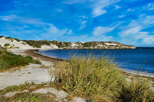 Dune landscape at the peaceful blue Jurien Bay along the midwest coast of Western Australia. Dune vegetation in the foreground
