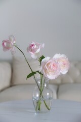 pink roses in vase