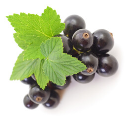Black currants isolated.