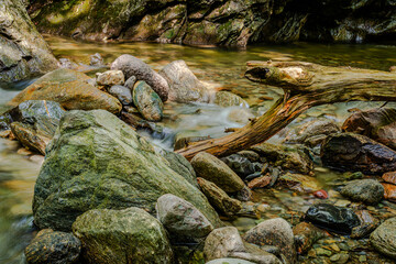 Mountain river in the forest 