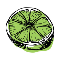 Vector lime clipart. Hand drawn citrus icon. Fruit illustration. For print, web, design, decor