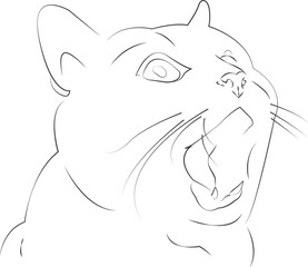 illustration of a cat, cat vector, vectors, cats