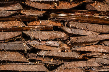 Stack of firewood. Old wood texture. Wood background