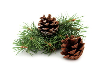 Two cones with fir branches lie on a white background.