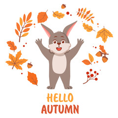 Hello autumn postcard with hare cartoon character. Cute bear fall leaves around.Hello autumn. Cute forest animal bunny.Cute cartoon rabbit.Vector flat illustration.Falling leaves, oak acorns.
