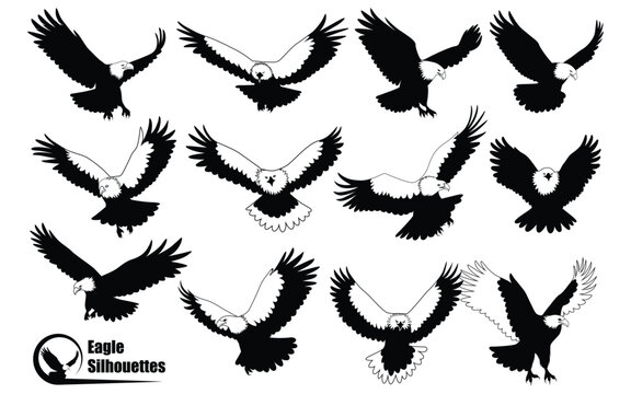 American Eagle Bird Silhouettes Vector art