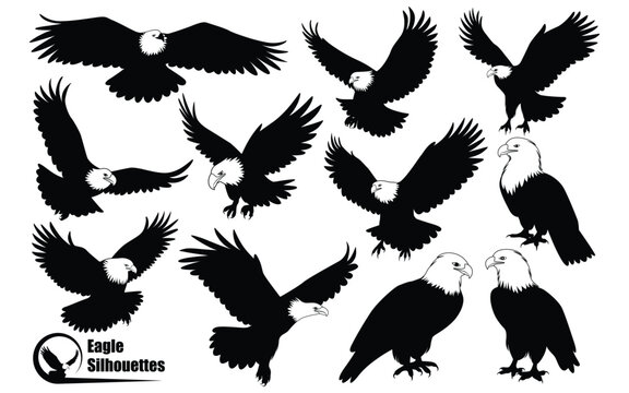 American Eagle Bird Silhouettes Vector art
