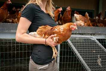 Legehennenhaltung - junge Frau hält ein braunes Huhn im Arm, Nahaufnahme.