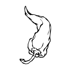 Doodle of hot chili pepper pod.Vector graphics.