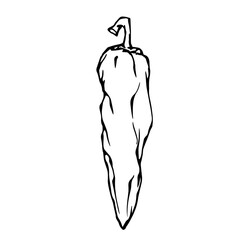 Doodle of hot chili pepper pod.Vector graphics.