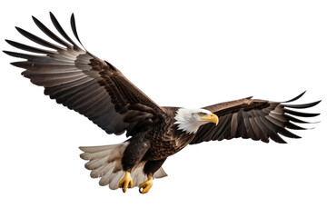 Majestic American bald eagle flying, spreading its wings in a graceful display.
