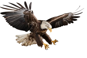 Fotobehang Raptors such as hawks and bald eagles use their powerful talons to hold onto their prey in-flight © Mickey