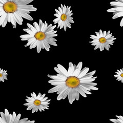 Seamless daisy flowers, floral pattern, white flowers pattern.