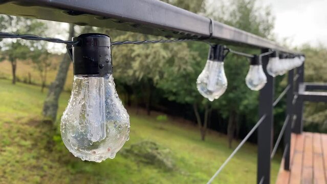 Row of light bulbs wet from the morning mist at a glamping site.
