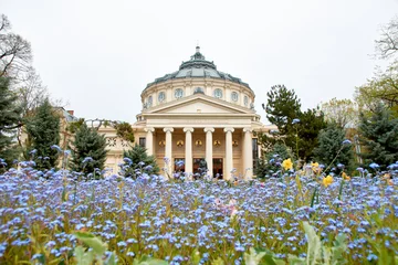 Foto op Canvas The Romanian Athenaeum in Bucharest in the spring © Marius Burcea