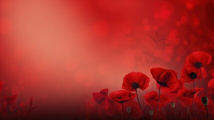 Remembrance Day background with copy space. Red poppy flowers on bokeh background. Suitable for social media posts, posters, and other marketing materials.