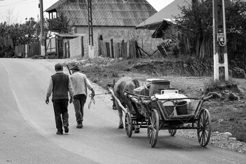 Naklejka premium peasants with oxcarts carrying water to the village in Romania