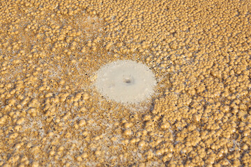 cones of mud volcanoes from which rivers of mud flow