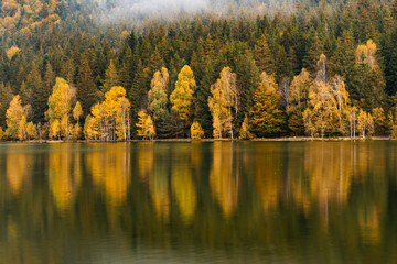 reflections with forest in autumn lake, Sf Ana lake