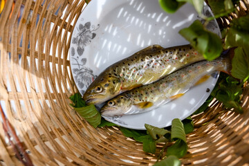 Fresh fish in a basket. Two red spotted mountain trout on a plate in a basket