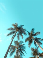 Obraz premium Skyward view of palm trees against a vibrant blue sky